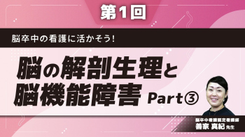脳卒中の看護に活かそう！ 【第1回】脳の解剖生理と脳機能障害 Part③脳幹と脳機能障害/小脳/脳血管