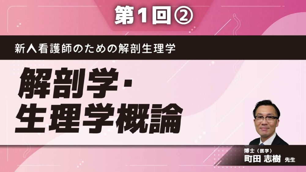 新人看護師のための解剖生理学 【第1回】解剖学・生理学概論 Part②骨の構造・機能