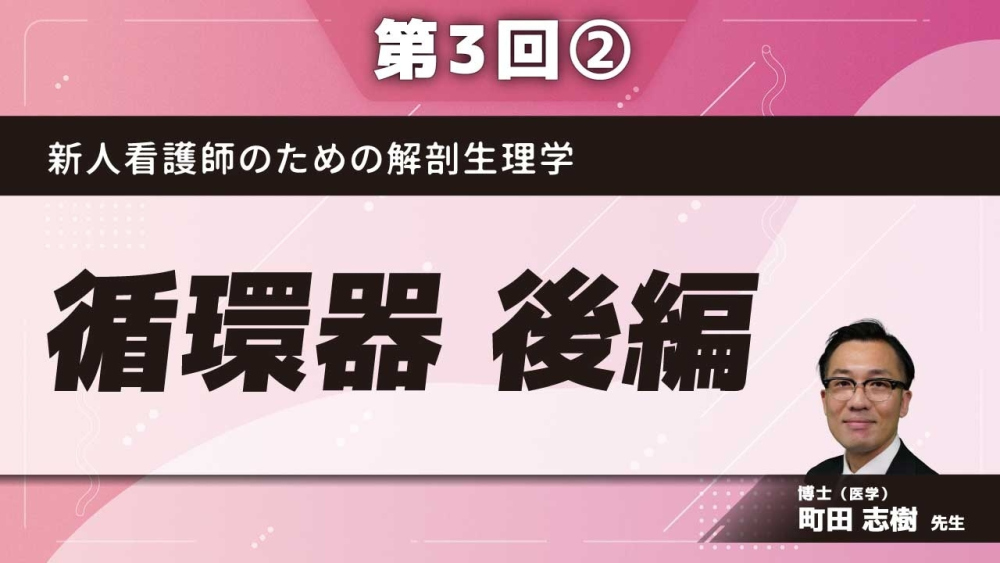 新人看護師のための解剖生理学 【第3回】循環器 後編 Part②大脳動脈輪、上肢の動脈