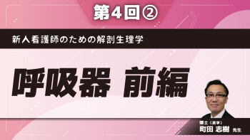 新人看護師のための解剖生理学 【第4回】呼吸器 前編 Part②嗅上皮、副鼻腔、喉頭