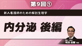 新人看護師のための解剖生理学 【第9回】内分泌 後編 Part①内分泌(甲状腺、副甲状腺)