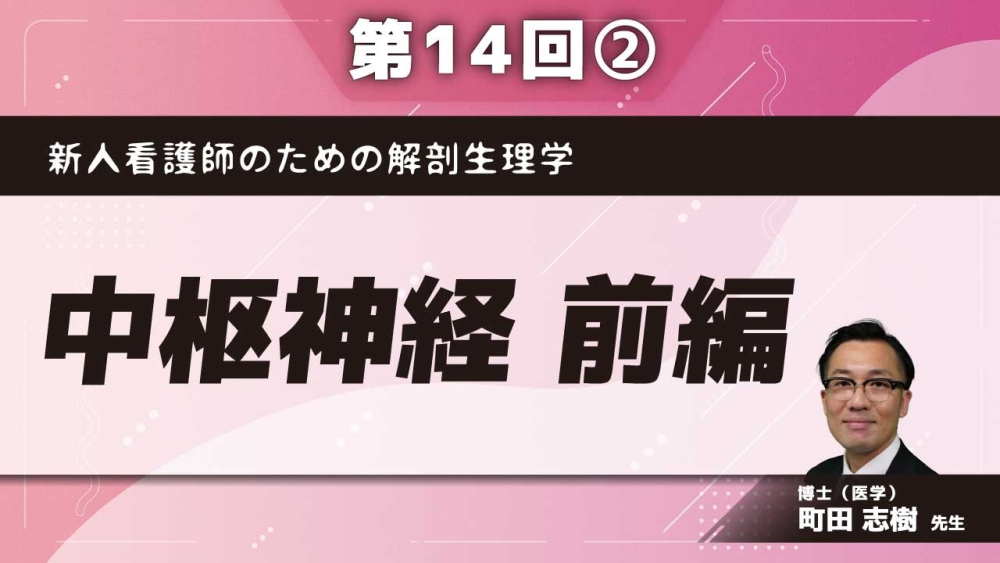 新人看護師のための解剖生理学【第14回】中枢神経 前編 Part②大脳皮質の機能局在　前頭葉