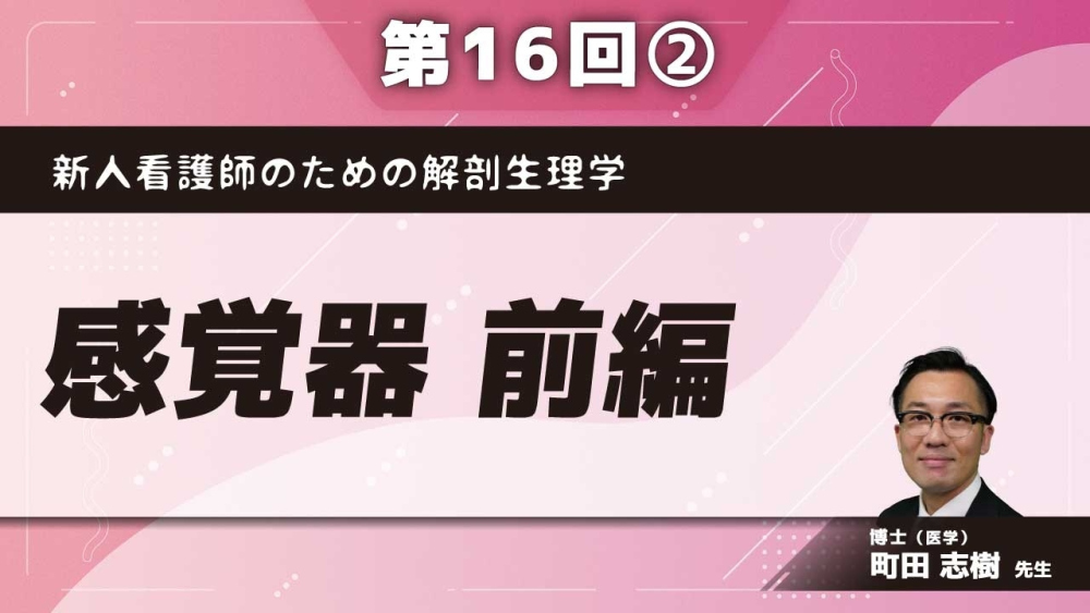 新人看護師のための解剖生理学 【第16回】感覚器 前編 Part②水晶体、硝子体、副眼器