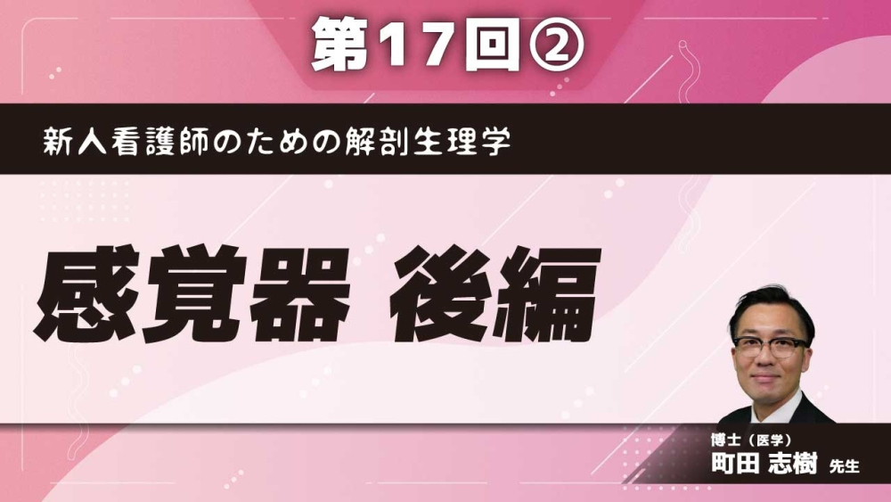 新人看護師のための解剖生理学 【第17回】感覚器 後編 Part②内耳の構造
