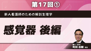 新人看護師のための解剖生理学 【第17回】感覚器 後編 Part①外耳、中耳、内耳の解剖学