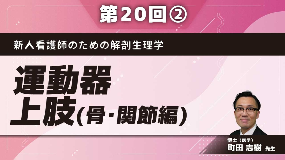 新人看護師のための解剖生理学 【第20回】運動器 上肢 （骨・関節編） Part②関節の名称
